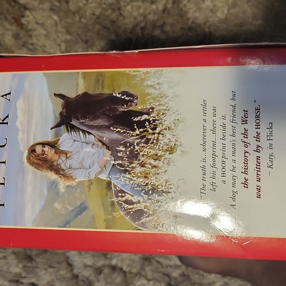 Flicka - Picture 3 of 4